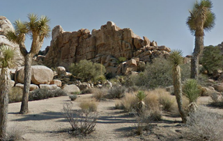 Illustration for article titled You Can Visit 44 National Parks From the Comfort of Google Street View